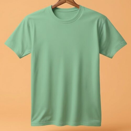 WhatsApp Image 2026-03-31 at 4.43.05 PM (3) Round Neck(100% Cotton Single Jersey) - Pista Green