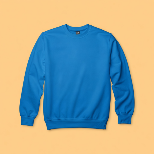 WhatsApp Image 2026-04-06 at 4.52.32 PM (1) Women's Sweatshirt – OE French Terry – 240 GSM –Sky Blue